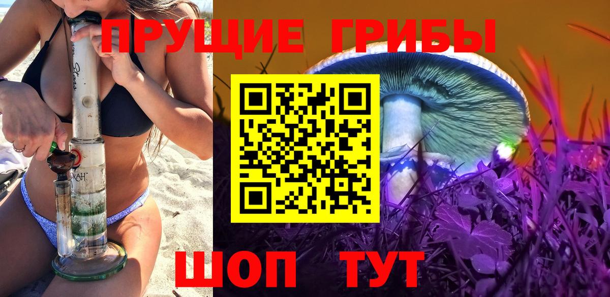 Псилоцибиновые грибы ЛСД Вятские Поляны