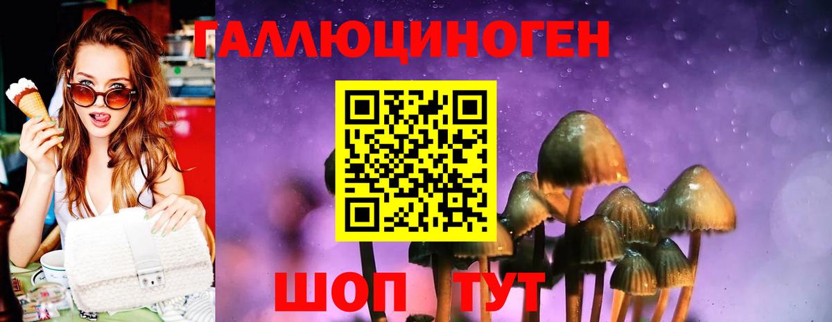 Вятские Поляны  Галлюциногенные грибы прущие грибы  Вход с VPN 